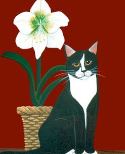 Cat With Amaryllis