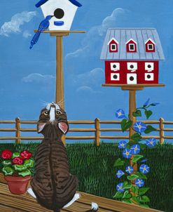 Birdhouses