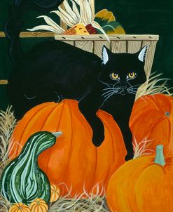 Harvest Cat