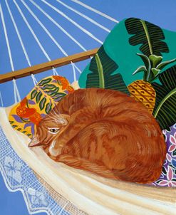 Catnapping In A Hammock