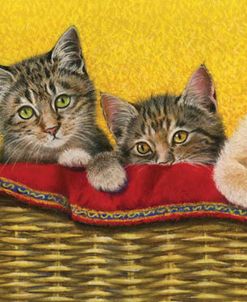 Eight Kittens In Basket