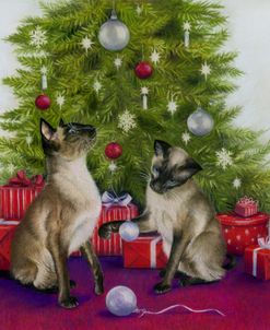 Christmas Siamese Cats