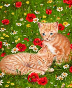 Ginger Kittens In Red Poppies