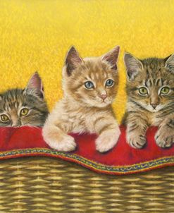 Five Kittens In Basket