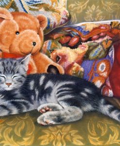 Kitten, Teddy & Cushions
