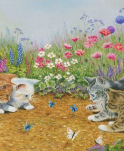 Kittens And Butterflies