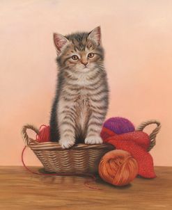 Kitten And Wool Basket