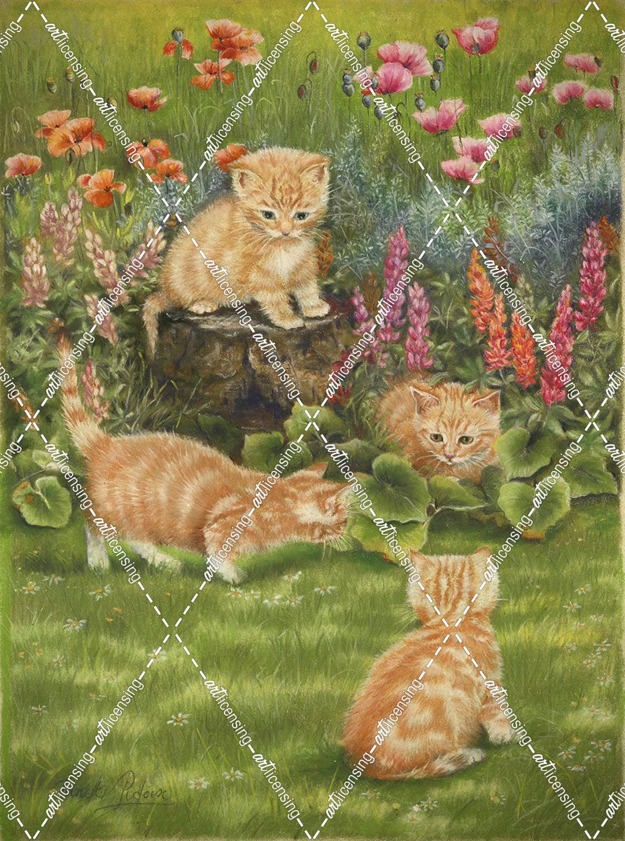 Kittens in the Garden