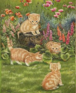 Kittens in the Garden