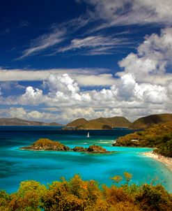 Trunk Bay