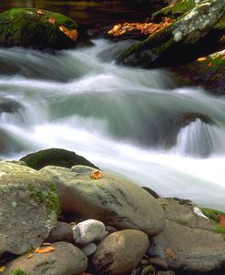 Little River Elkmont #1