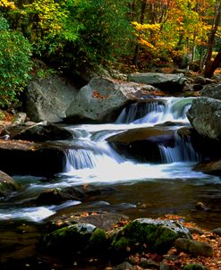 Little River Elkmont #2