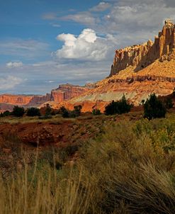 Capital Reef, UT