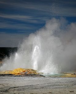 Geyser Yellowstone