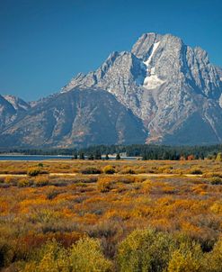 Tetons IV