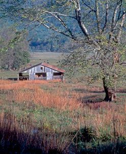 Hay Barn