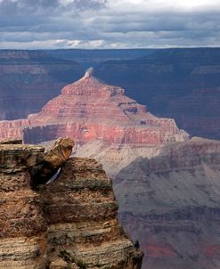 Grand Canyon III