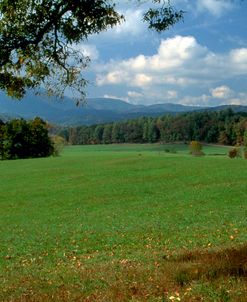 Cades Cove II