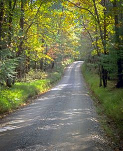 Sparks Lane