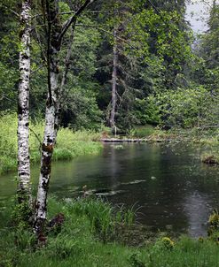 238 Olympic NP