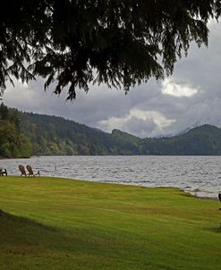 243 Olympic NP