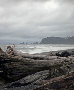 239 Olympic NP