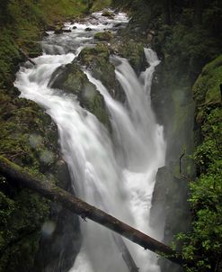 241 Olympic NP