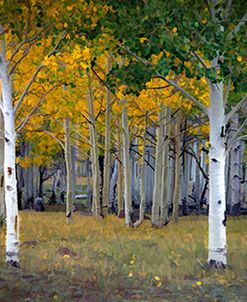 Dixie Forest, UT