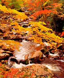 Treemont, GSMNP, TN