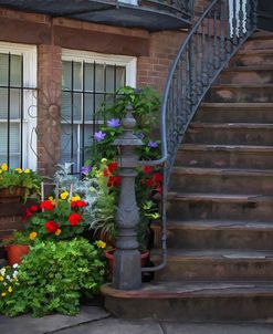 Townhouse Steps
