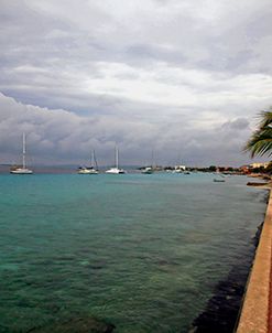 Bonaire 1