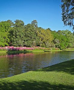 Middleton Place, SC