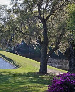 Middleton Place, SC