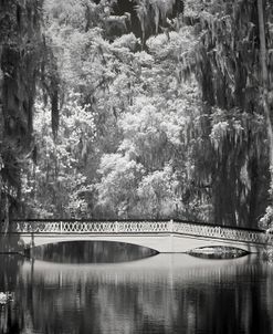 IR Magnolia Gardens