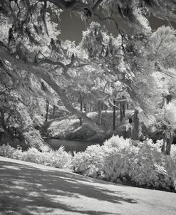 IR Middleton Place, SC