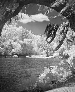 IR Middleton Place, SC