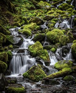 V Olympic NP