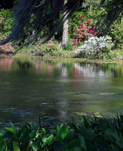 Middleton Place, SC