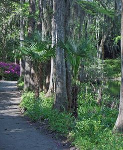 Middleton Place, SC