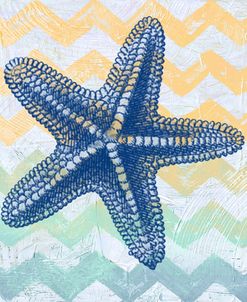 Chevron-star fish-7914