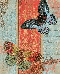 JP165_Royal Tapestry Butterfly-4215