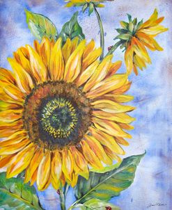 Audreys Sunflower