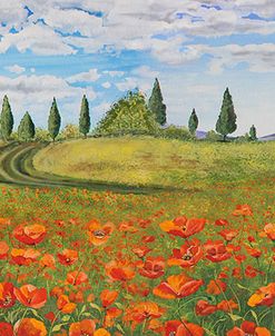 Jp1968_Tuscan Poppies-42715