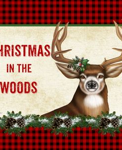 JP3674 – Christmas in the Woods