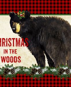 JP3677 – Christmas in the Woods