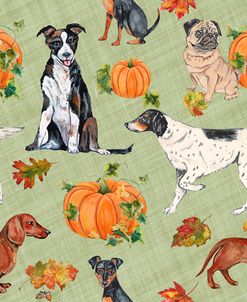 Dogs In Pumpkin Patch-A