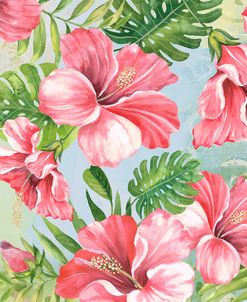 Hibiscus Paradise-JP3966