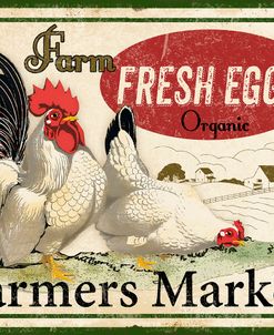 Farm Fresh Eggs-A