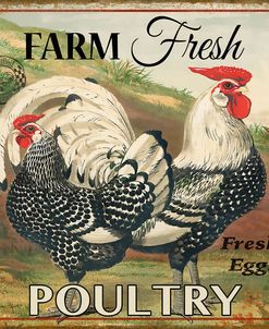 Farmer Fresh Poultry-A