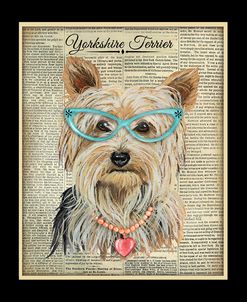 JP3856-Yorkshire Terrier